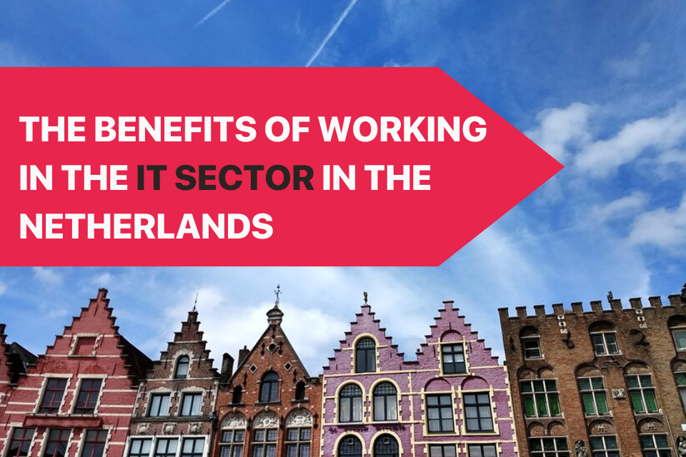 The Benefits of Working in the IT Sector in the Netherlands